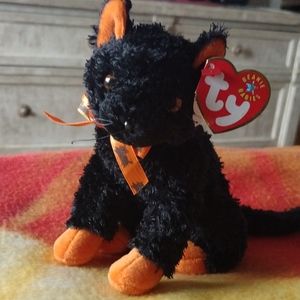 Fraidy the Holloween Black Cat..